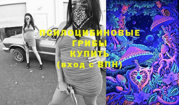 ALPHA PVP Дмитриев