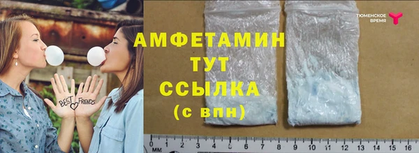 гашик Елизово